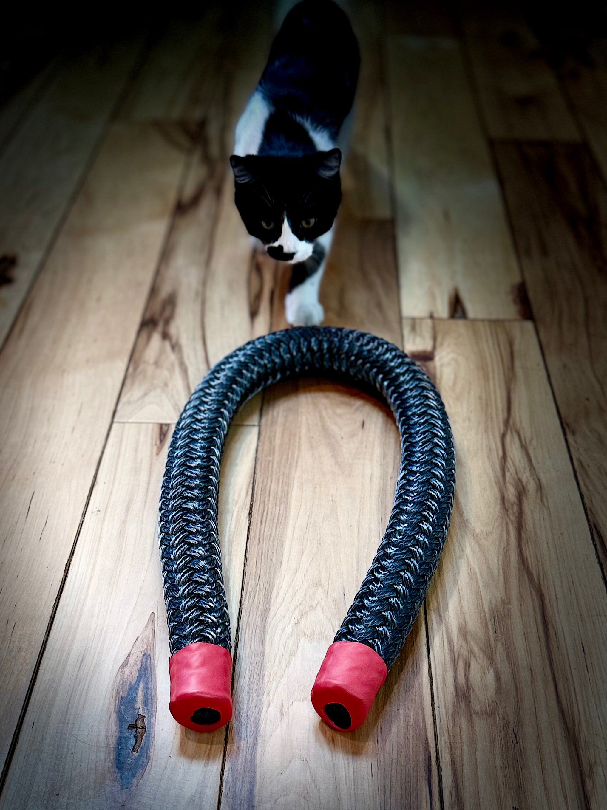 Foot Fixer (Mini Mamba 3ft Footwork Rope) – Lawrence van Lingen